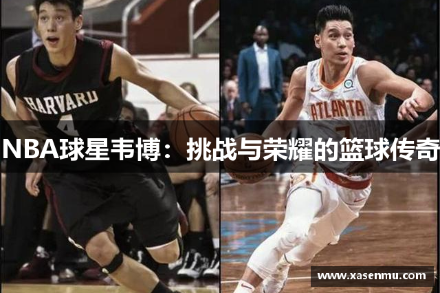 NBA球星韦博：挑战与荣耀的篮球传奇